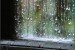 Lo trajo la lluvia. Por Teriri