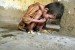 Un niño menudo. Por Ángela C. Aranda C.