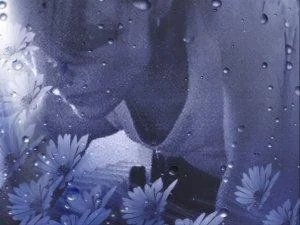 VVRR23