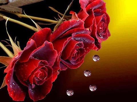 Rosas
