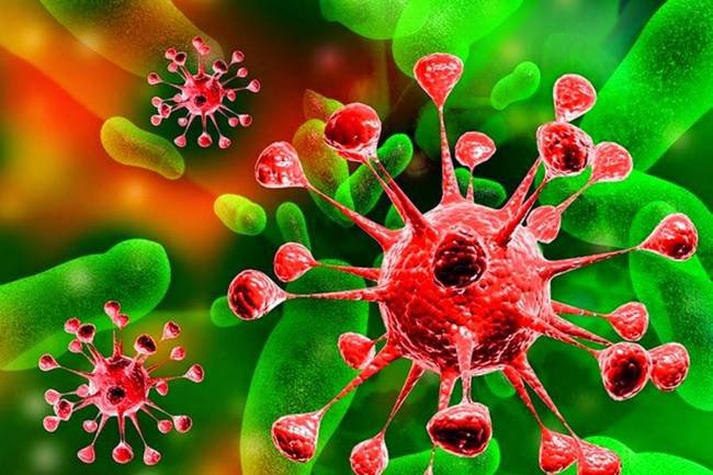 virus