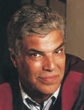 Ibrahim Abdel Meguid