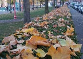 reforma anticonstitucional