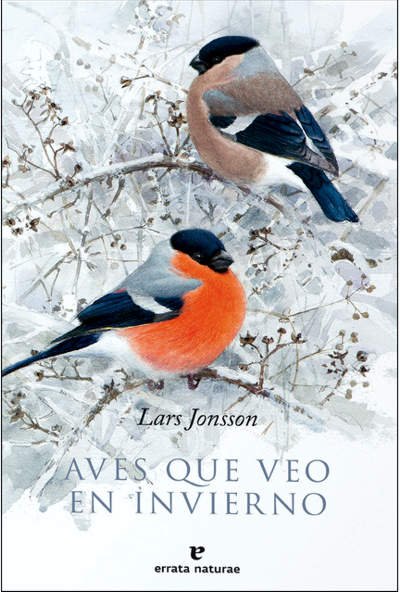 aves que veo en invierno