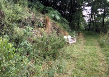 el sendero de la soledad