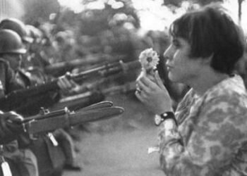 laqs flores contra las armas