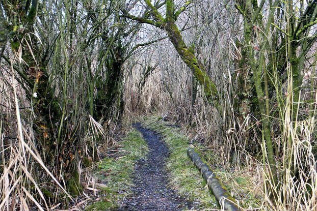 caminos trillados