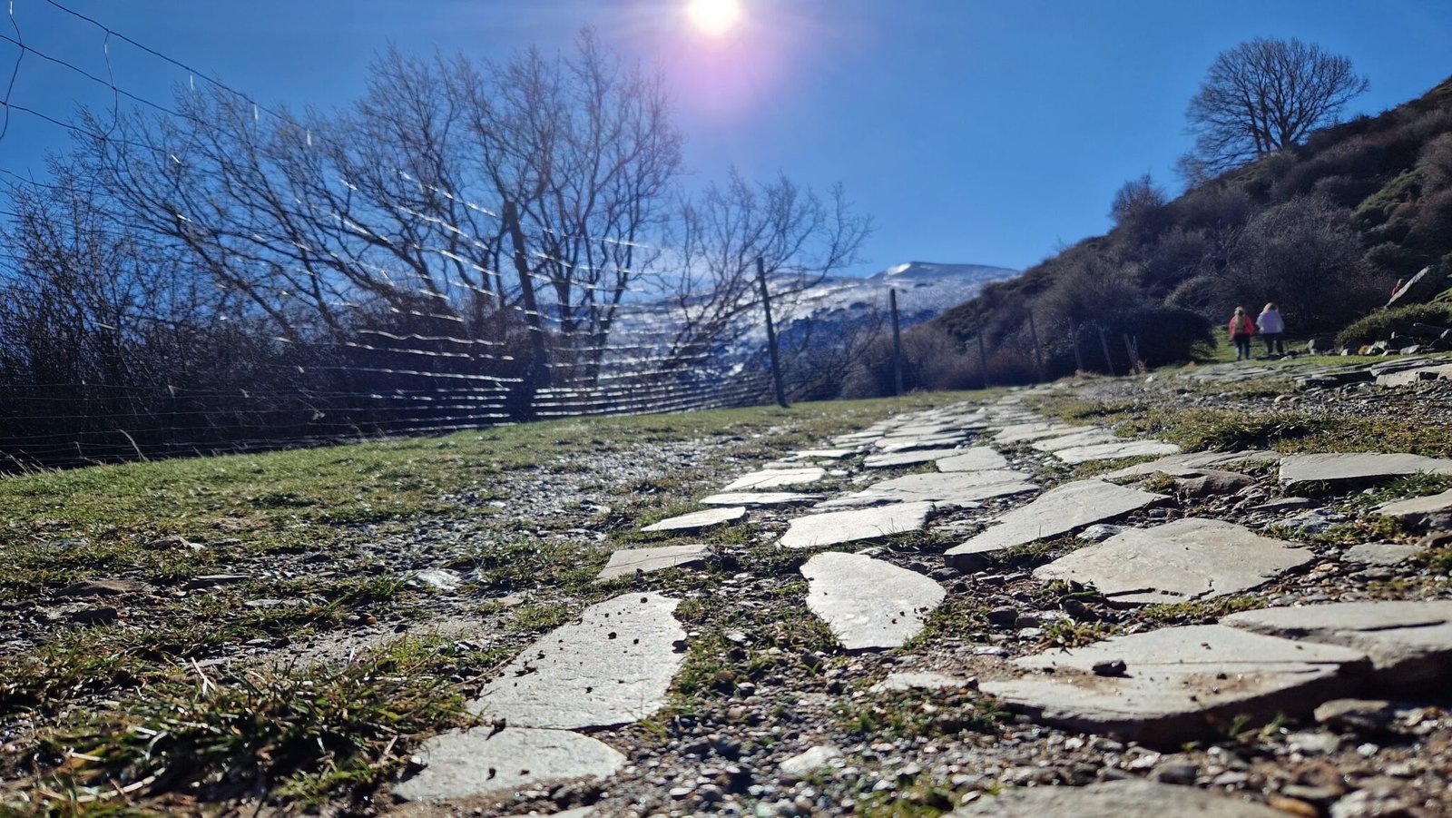 El Bosque encantado. Lugros, Granada. Canal Literatura