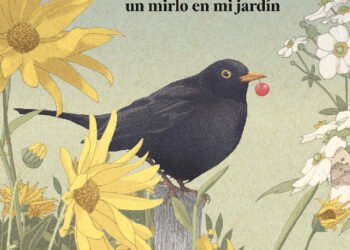 Tino, un mirlo en mi jardín