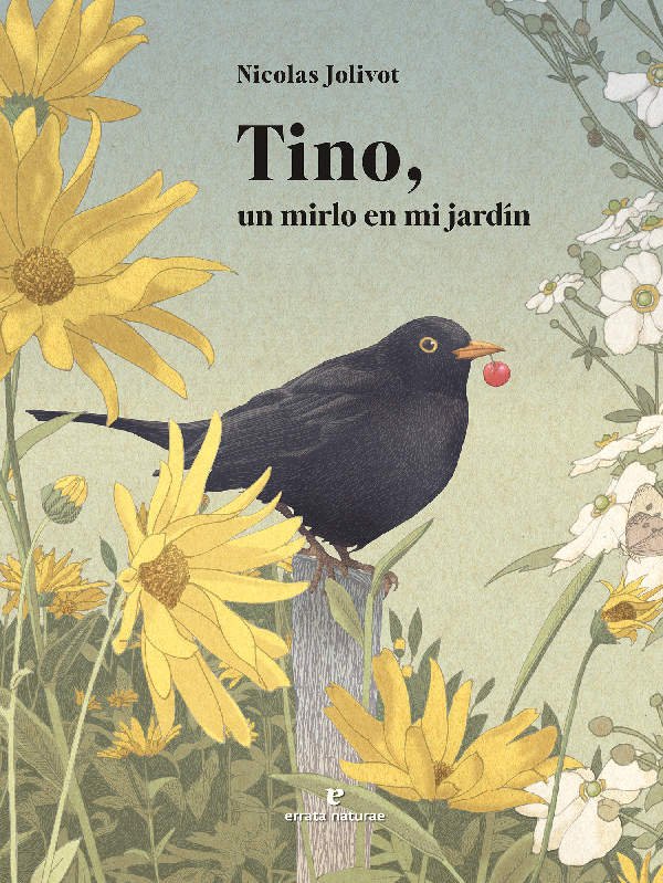 Tino, un mirlo en mi jardín