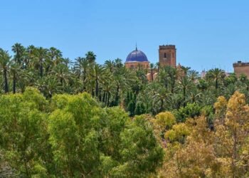 Palmeral-de-Elche-Palacio-de-Altamira