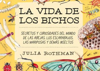 la-vida-de-los-bichos